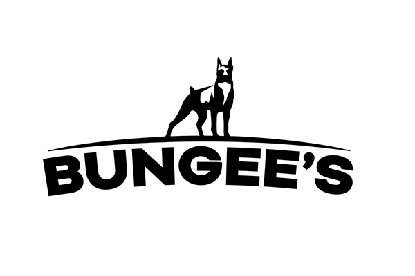 Bungees 1