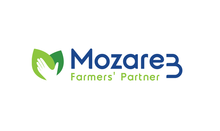 Portfolios 1 MOZAR3 LOGO