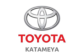 Toyota Katameya 2